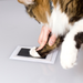 Pearhead ® - Pfotenabdruck Hund & Katze clean-touch ink pad