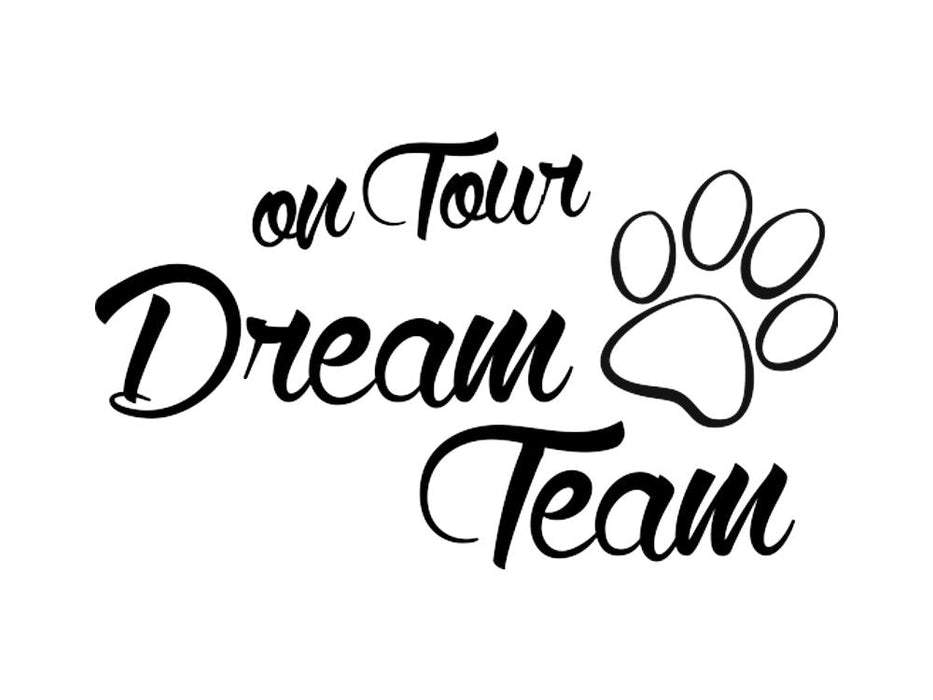 Auto Aufkleber: Dream Team on Tour