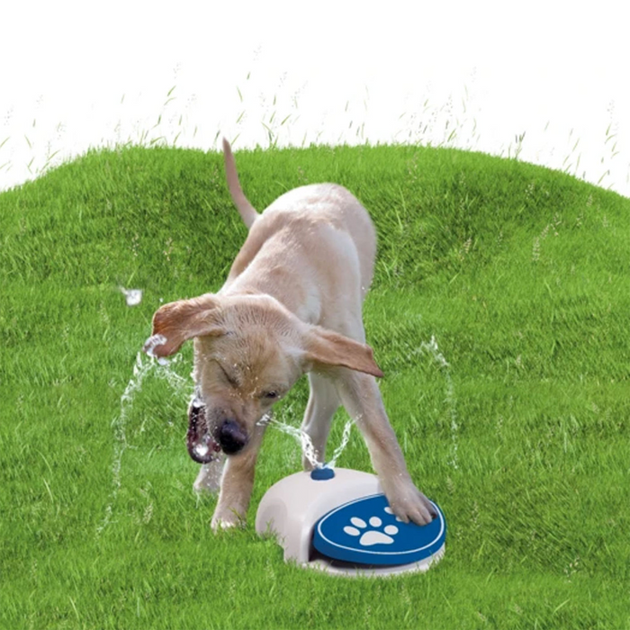 CoolPets Hunde Wasserspender - Splash Water Fontain