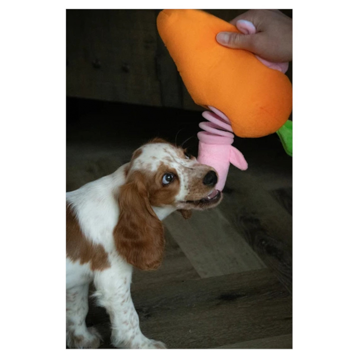 Double Wobble Carrot Conejos - Plüsch Hundespielzeug Karotte & Hase