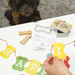 Happy Birthday - Dog Birthday Kit
