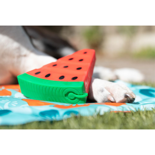 Melone - Hunde Kühlspielzeug