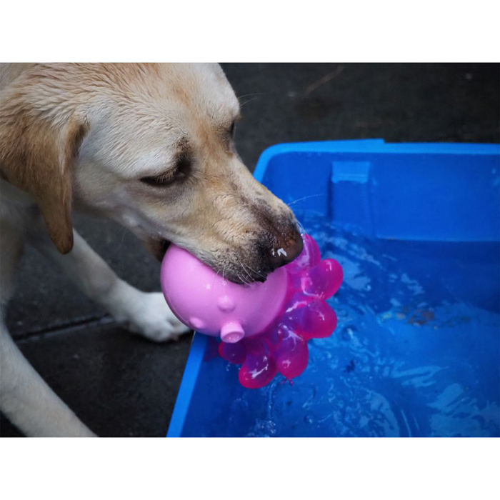 Oktopus - schwimmfähiges Hundespielzeug