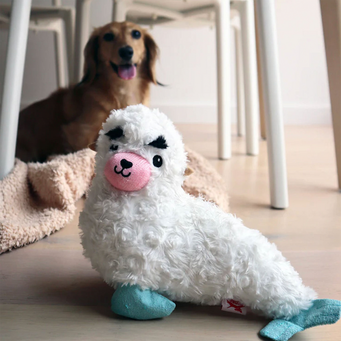Seerobbe - Plüsch Hundespielzeug