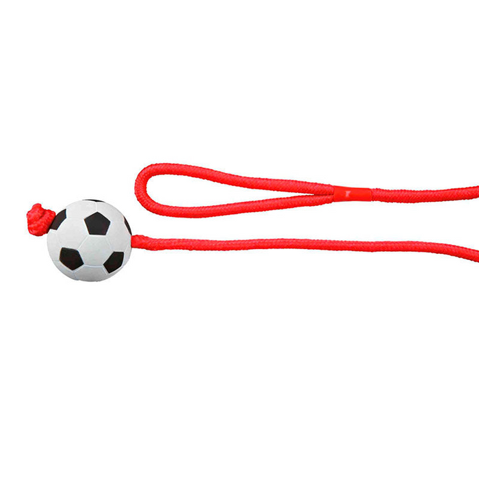 Trixie Moosgummi Fußball am Seil schwimmfähig