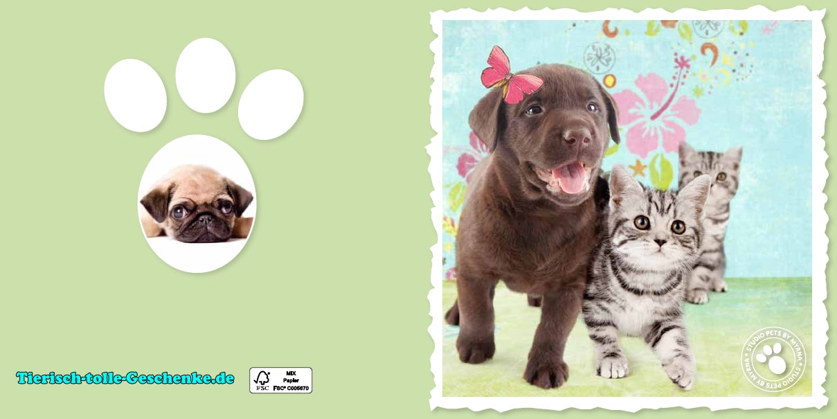 Myrna Grußkarte: Labrador & Kätzchen