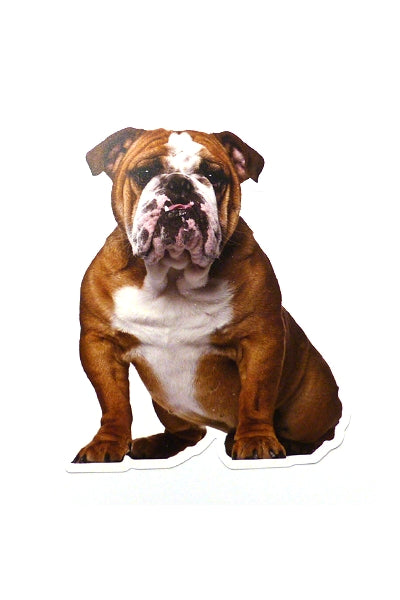 Hunderassen-Auto-Aufkleber: Bulldogge (Engl.) 1 — Tierisch-tolle-Geschenke
