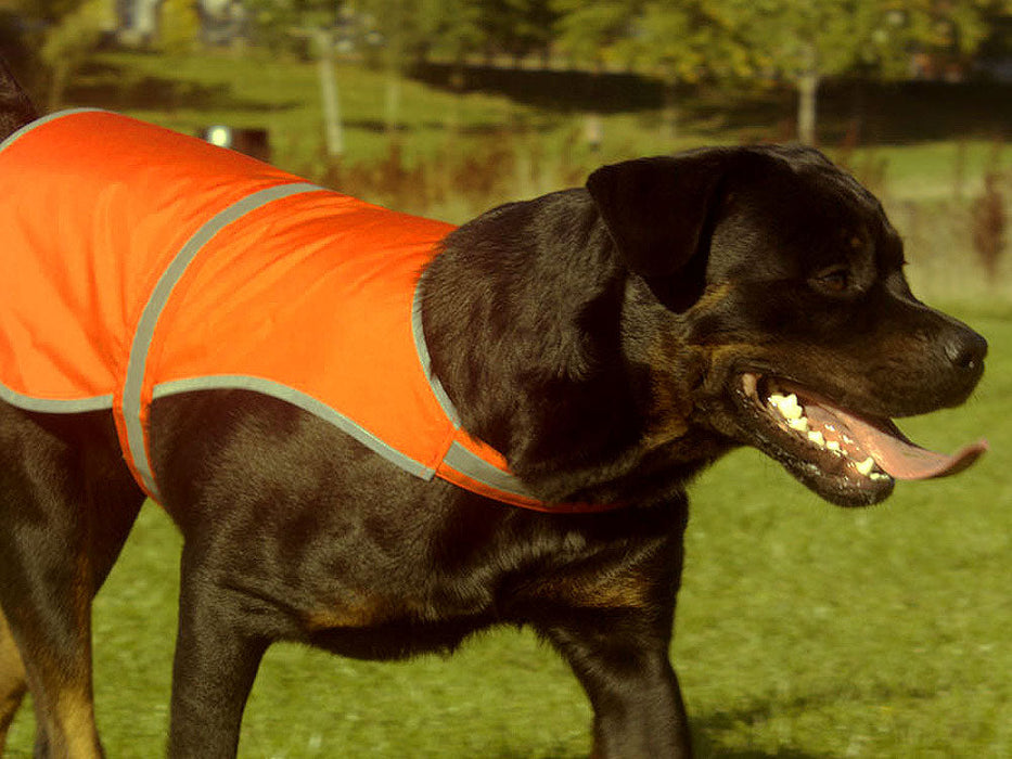 Hundesport Warnweste Sicherheitsweste: Mantrailing 3 —  Tierisch-tolle-Geschenke
